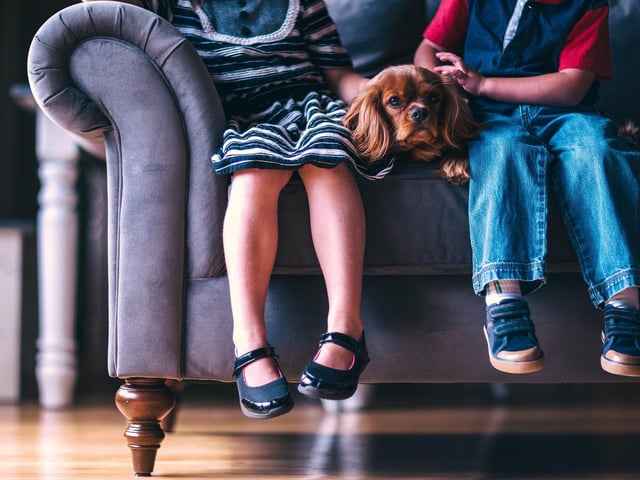 Minimize his stress - and unnecessary excitement - by asking visitors to let him settle, in peace, for the first few days. It’s very important that your puppy is socialised and gets used to house guests, but not straight away. Let him get used to his new family’s faces before adding more to the mix. Ask them to wait off for a week or two.