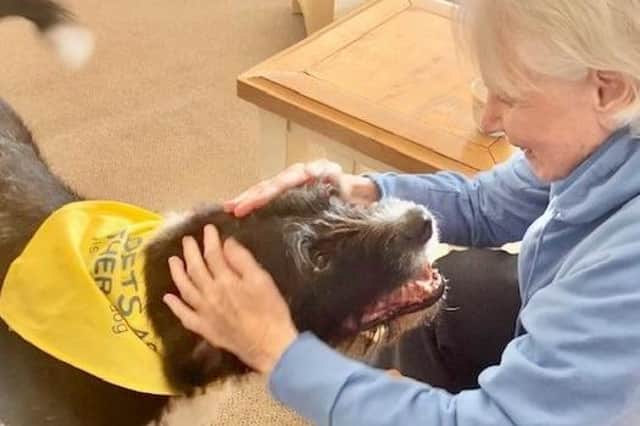 Residents love it when the Pets as Therapy dogs come to visit the Guild Care care homes