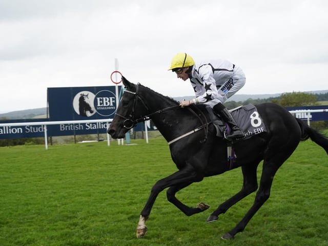 September midweek flat racing at Goodwood