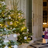 Family looking at Christmas trees Picture: National Trust Images, Megan Taylor