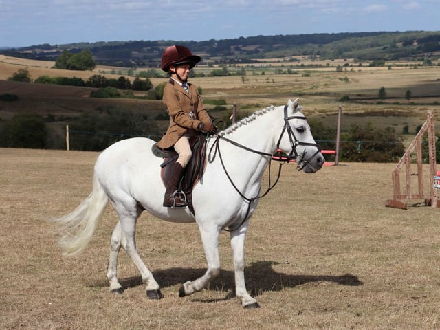 Rye Country Show 2026 in aid of St Michael's Hospice. Photo by Kevin Boorman