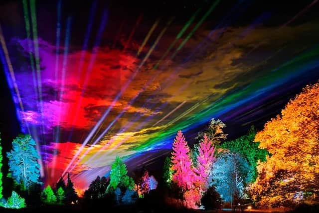 Christmas At Bedgebury 2023 filled with all the colours of the rainbow as you walk under Liquid Sky