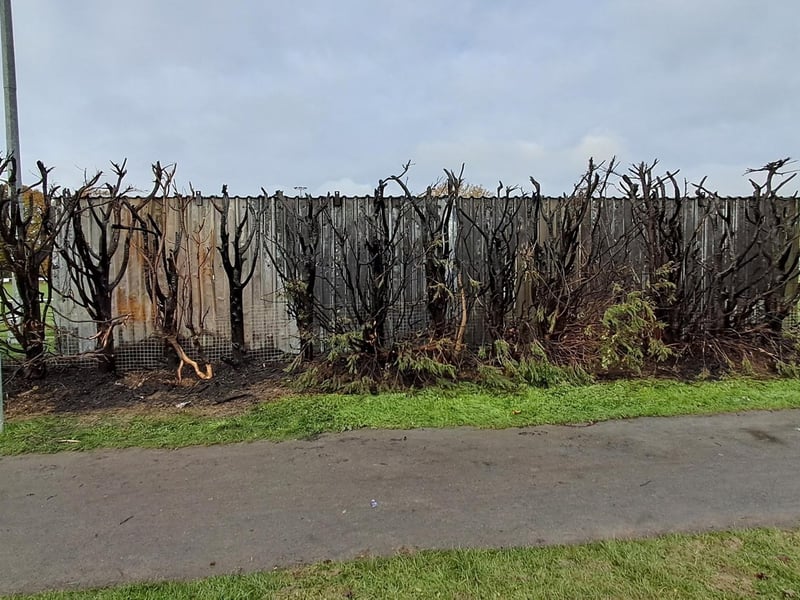 Children were ‘sitting in the stand for a debrief session’ when a large fire broke out at a football club in East Sussex – with the incident being treated as arson.