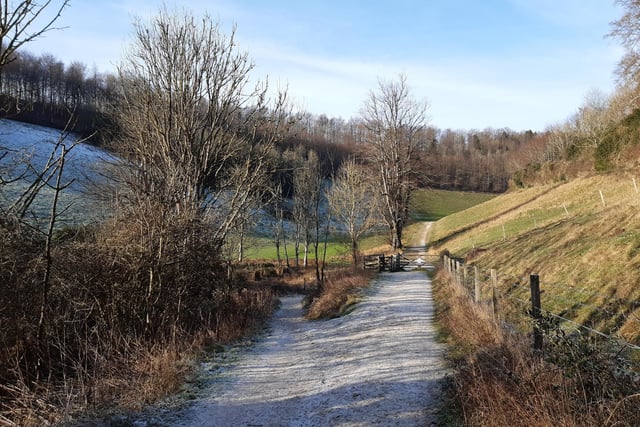 You will soon reach the end of the lake and here you have an option. You can take the path straight ahead, through the gate, to the point it joins Monarch's Way, then turn left and come back towards Hiorne Tower.