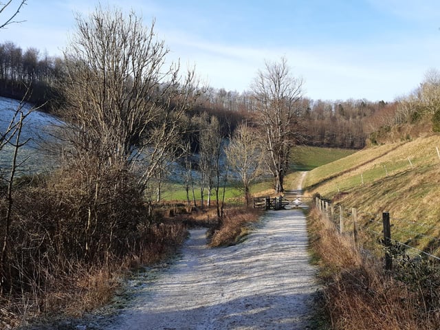 You will soon reach the end of the lake and here you have an option. You can take the path straight ahead, through the gate, to the point it joins Monarch's Way, then turn left and come back towards Hiorne Tower.