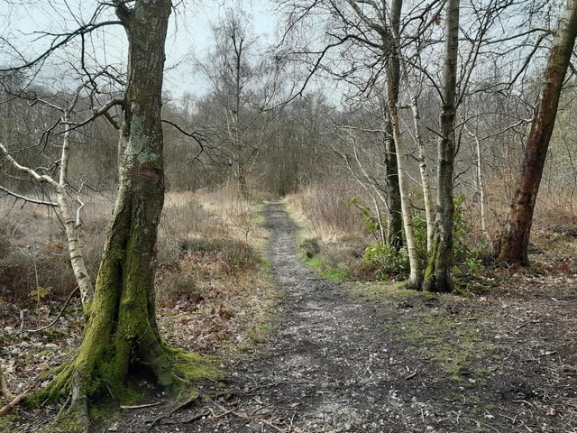 Instead of returning across the heath (the path ahead here), turn left