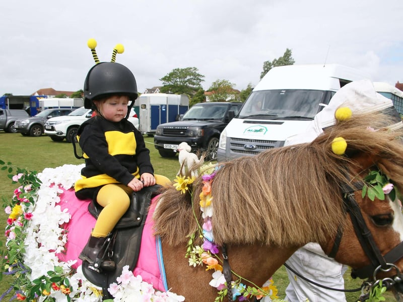 Bexhill Horse Show 2025. Photo by Roberts Photographic.