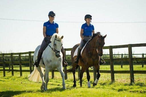 Happy horses rehabilitated at Moorcroft Equine.