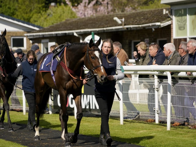 Race 6 The Best Odds Guarenteed At YEEHAA.BET Mares Novices Limited Handicap Hurdle Race at Fontwell on Friday 19 April 2024. www.polopictures.co.uk  Fontwell Arundel Clive Bennett 20240419 ©2024 Clive Bennett Photography 19/04/2024 _CAB3248.JPG:Spring jump racing at Fontwell Park