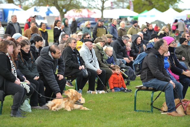 Spring Live! took place at the South of England Showground, Ardingly, on Saturday and Sunday, April 20-21, this year