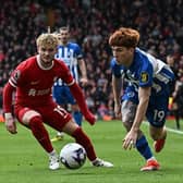 Brighton's Argentinian defender Valentín Barco in action against Liverpool