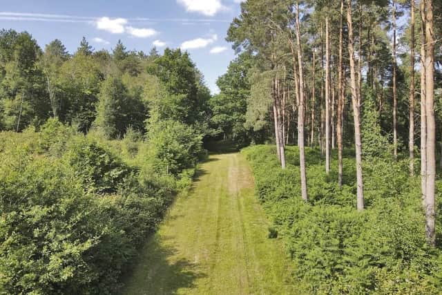 A man who caused thousands of pounds worth of damage to signs at an iconic Sussex forest has agreed to pay back the costs. Photo: UGC