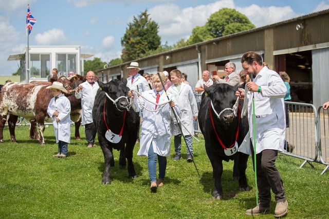 This year's South of England Show is taking place on Friday, June 9, Saturday, June 10, and Sunday, June 11 (9am-6.30pm), at the South of England Showground in Ardingly