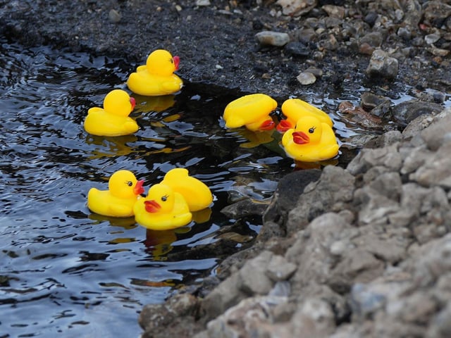 A Worthing resident put rubber ducks into a pond created by a water leak in Worthing