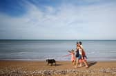 A family walking on the beach. Photo: AFP via Getty Images