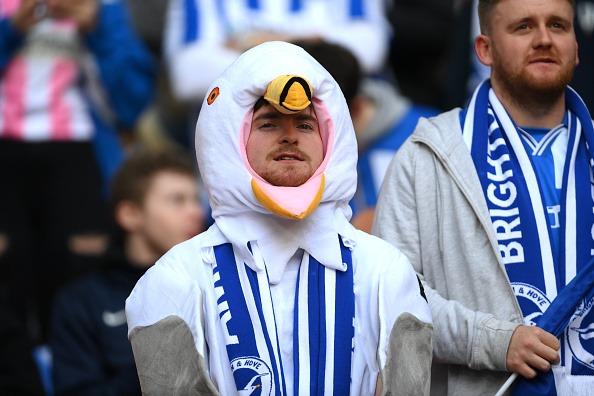 Seagulls at Wembley