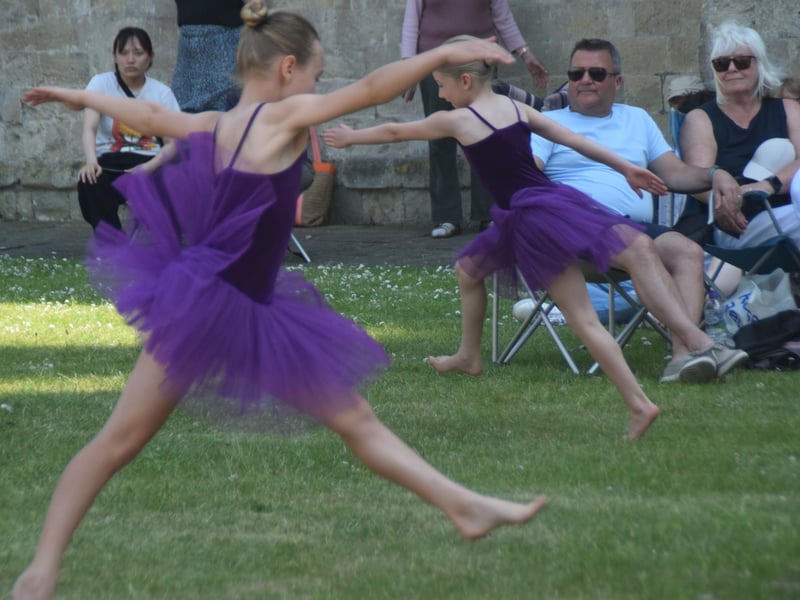 Festival of Chichester launch