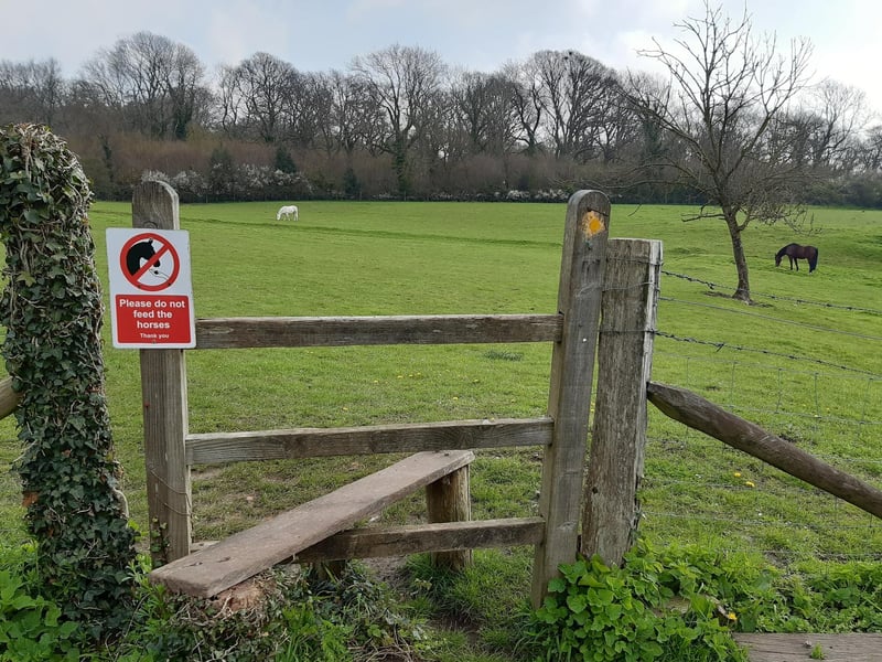 Go over the stile to enter the field of horses. Please take notice of the sign that asks you not to feed them.