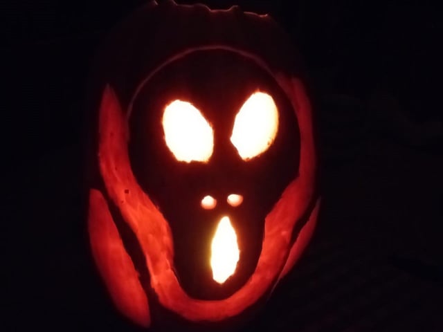Pumpkin picture provided by Jessica Hubbard