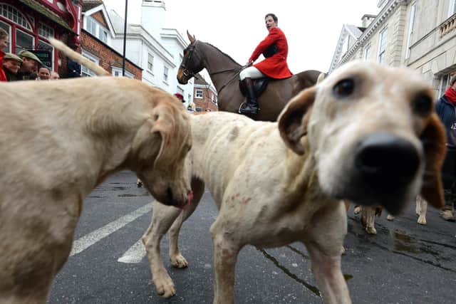 The Lewes Boxing Day Hunt meet in 2014