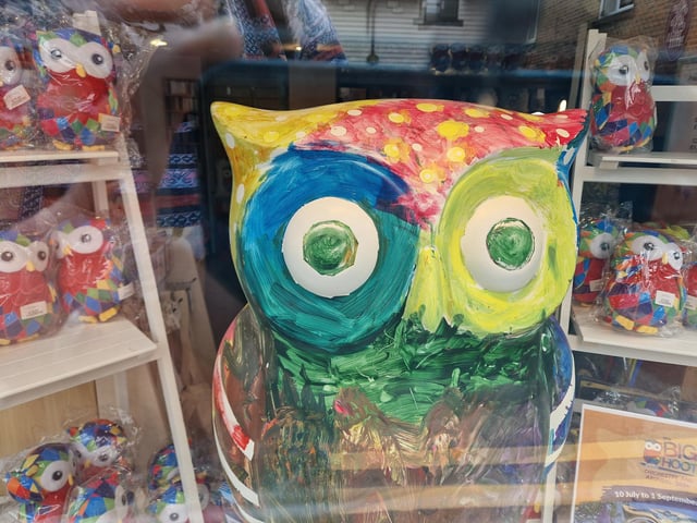 Colourful owls have flown into Arundel as part of the Wild in Art event The Big Hoot trail, raising money for Chestnut Tree House.