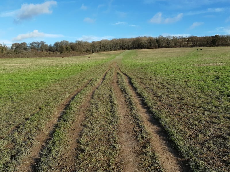 Just keep following this wide path up the hill.