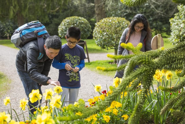 National Trust Easter trails in Sussex - Sheffield Park, East Sussex (photo by Chris Lacey)