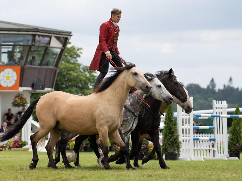 This year's South of England Show takes place from Friday to Sunday, June 7-9
