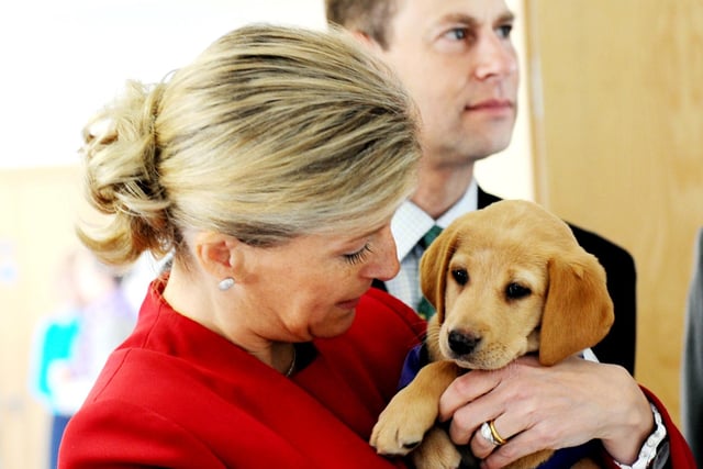 The Countess of Wessex meeting Canine Partners dog Kelda