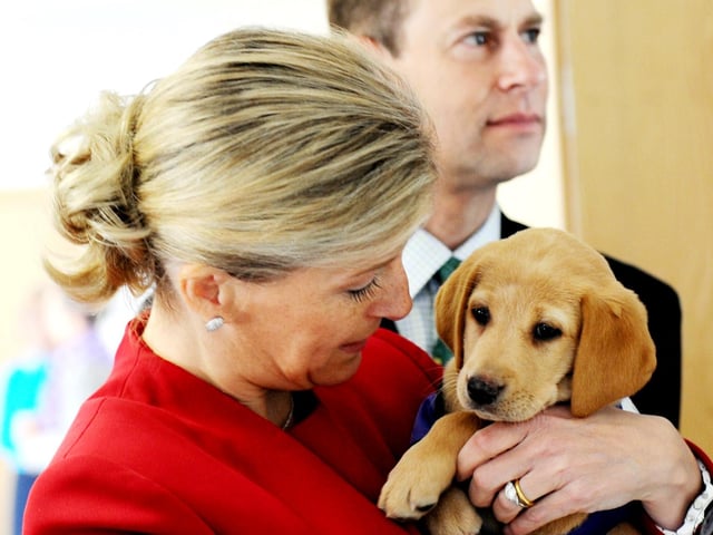 The Countess of Wessex meeting Canine Partners dog Kelda