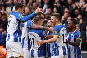 Brighton and Hove Albion celebrate during their Premier League clash with Wolves at Molineux Stadium