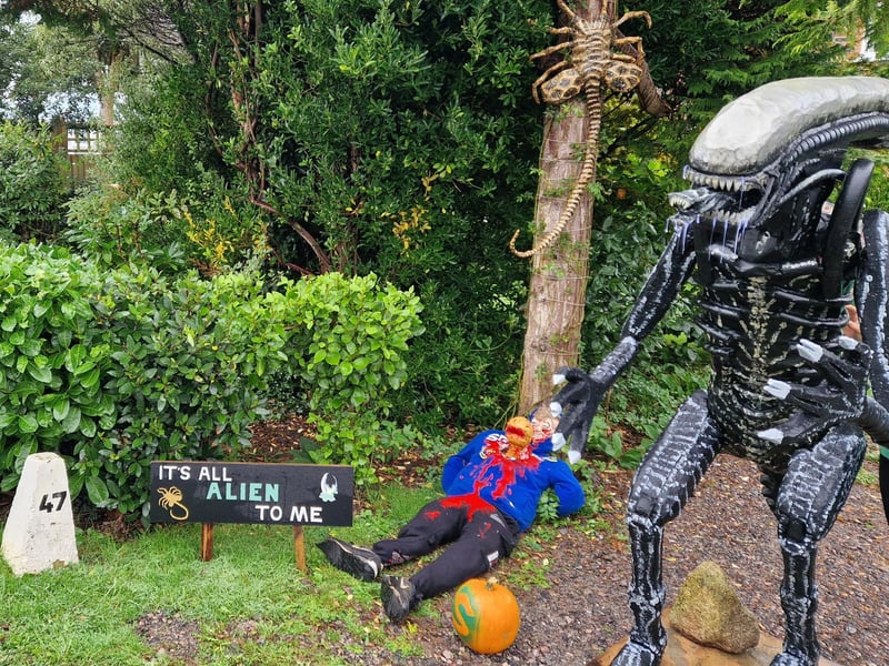 Ferring Scarecrow Festival from October 26 to November 3, 2024, is a feast for the eyes and the senses, with interactive displays and comical scenes to delight and amuse people of all ages. Purchase a map for £1 at The Orange Tree and support the fundraising for The Community Dementia Hive at Beehive Care in Ferring.
