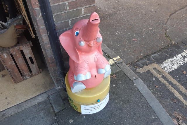 Pink Elephant charity box
