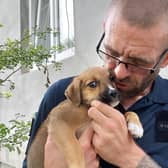 Dave Rogers, from Hastings, gave up his business to save dogs in Ukraine and Turkey.