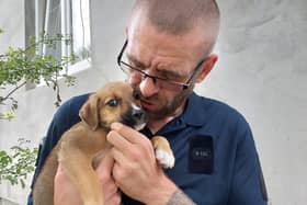 Dave Rogers, from Hastings, gave up his business to save dogs in Ukraine and Turkey.