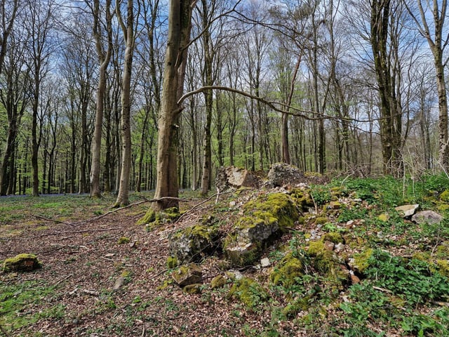 The ruins of the clock tower that was part of Michelgrove, the Shelley estate that was demolished by a jealous Duke of Norfolk.
