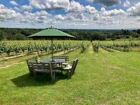 Overlooking vineyards at Beacon Down. Photo: Beacon Down