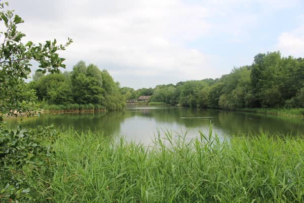 Council workers are battling to save fish at Southwater Country Park