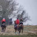 Nick Gifford's horses on the gallops at Findon | Picture: Getty