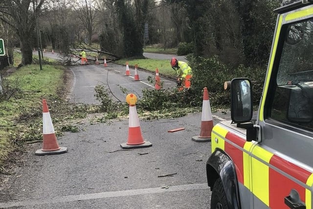 Work to clear the A24 at Findon after a tree fell