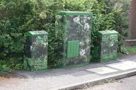 Virgin Media broadband boxes in Earlswood Close, Horsham, have been camouflaged as shrubbery. Photo: Eddie Mitchell