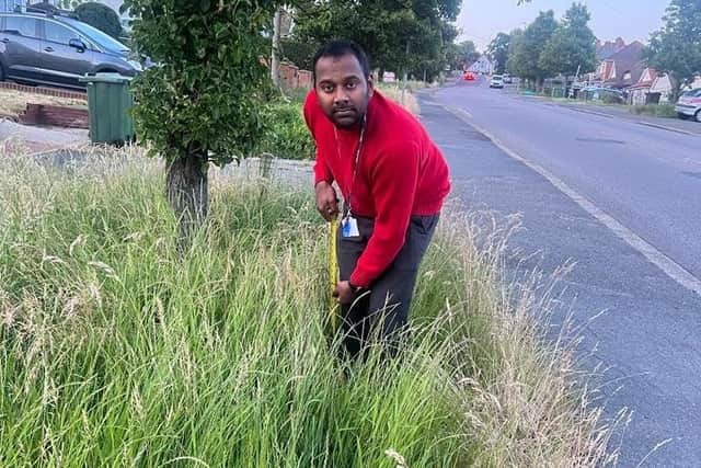Cllr Lucian Fernando in Ashbrook Road, where he said the overgrown grass has reached almost 4ft in height. Picture: Contributed