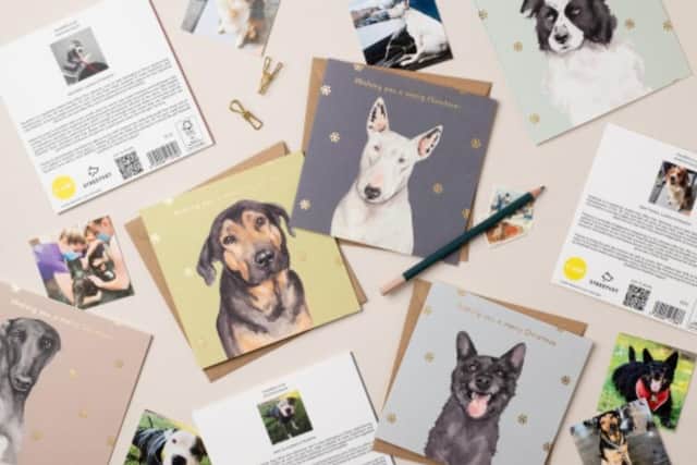 Georgi Doig is supporting StreetVet with her lil wabbit Christmas card collection. Picture: Holly Booth Studios