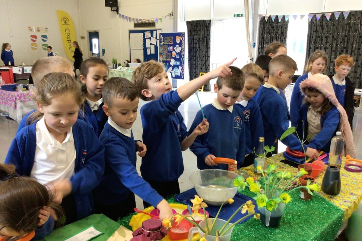 Science Fair Primary Worthing primary school holds Science Fair filled with activities – in ...