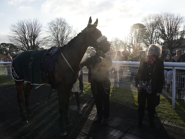Boxing Day racing at Fontwell Park, 2025