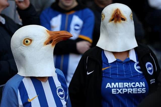 Brighton and Hove Albion fans have had an eventful first half of the Premier League season