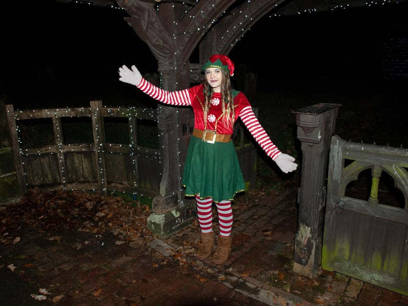 Westfield Christmas Lights 2023. Photo by Frank Copper.