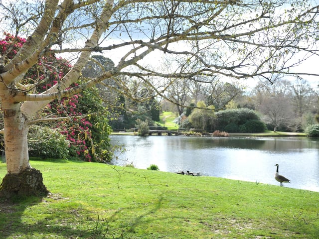 Spring blooms at Sheffield Park and Garden National Trust property