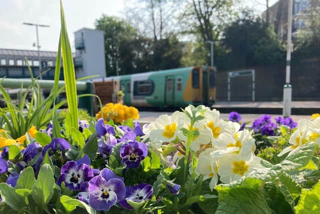 Colourful planters on Lewes railway station brighten the platforms for passengers and passers-by