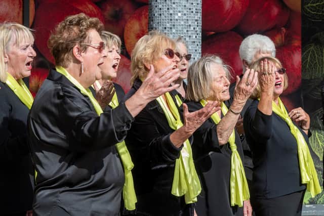 Members of the Coastline Harmony a cappella group perform for onlookers. Photo: Adur District Council